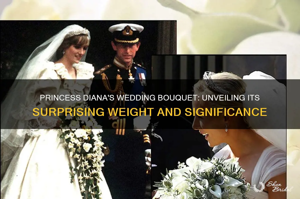 how heavy was princess diana