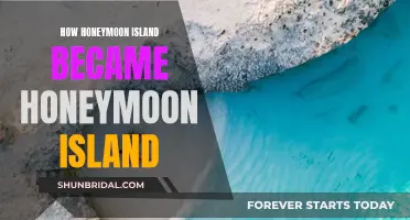 Honeymoon Island: A Historical Romance