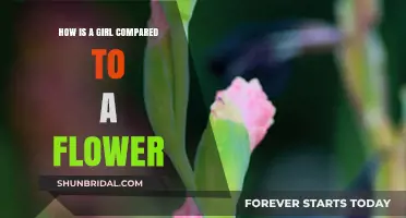 Girls and Flowers: Unveiling the Delicate Beauty and Fragrance Analogy