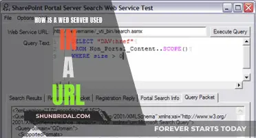 Web Server Functionality: Understanding URL Requests