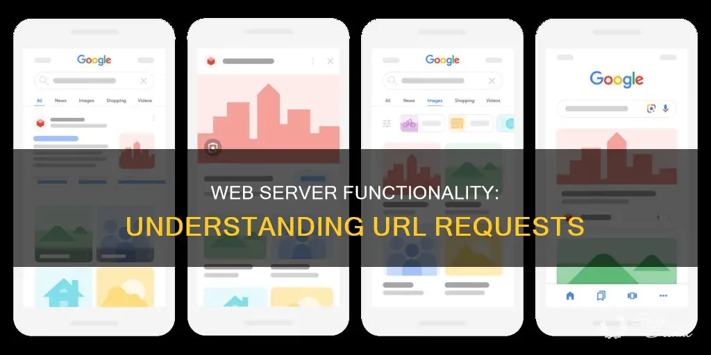 how is a wed server used in a url