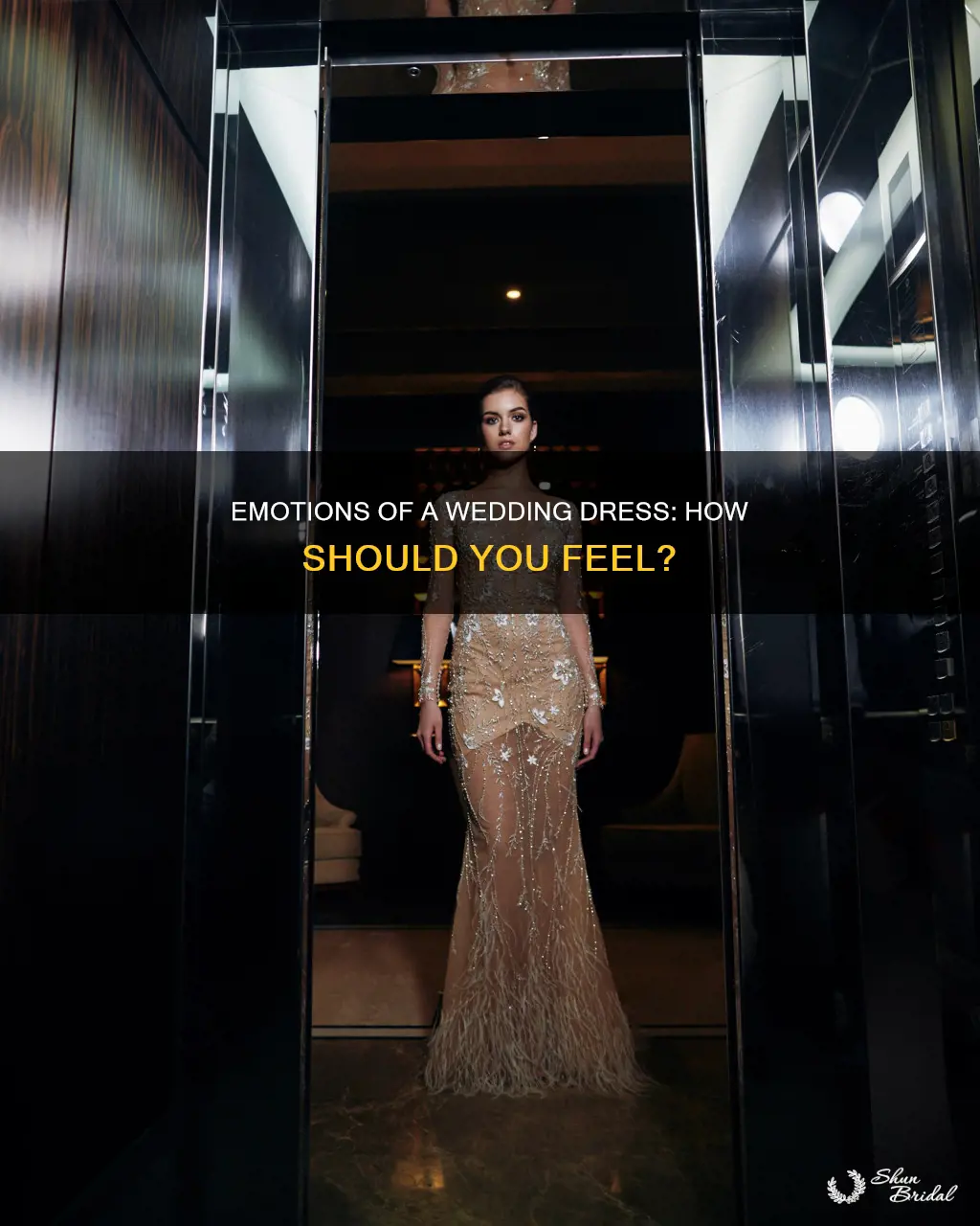 how is a wedding dress supposed to make you feel