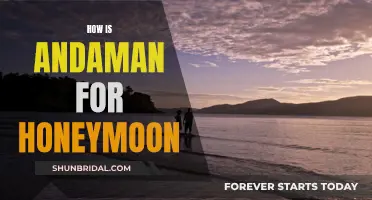 Andaman's Honeymoon Experience: A Tropical Paradise