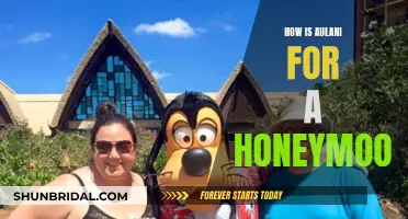Honeymoon at Aulani: A Dream Come True?