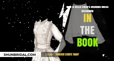 Bella Swan's Wedding Dress: Details from the Book
