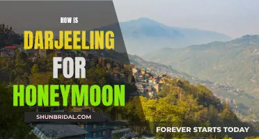 Honeymoon in Darjeeling: A Romantic Getaway Amidst Nature's Splendor