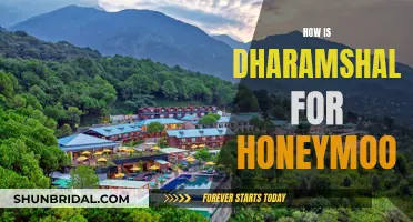 Honeymoon in Dharamshala: A Romantic Getaway in the Mountains