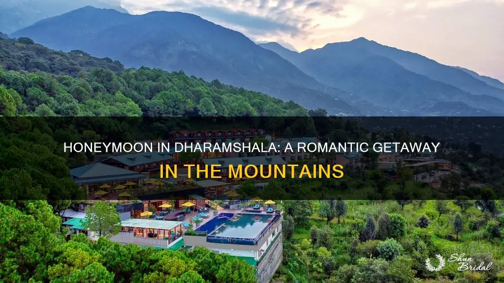 how is dharamshala for honeymoon