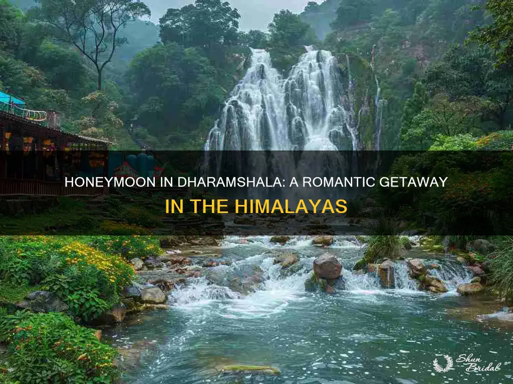 how is dharamshala for honeymoon