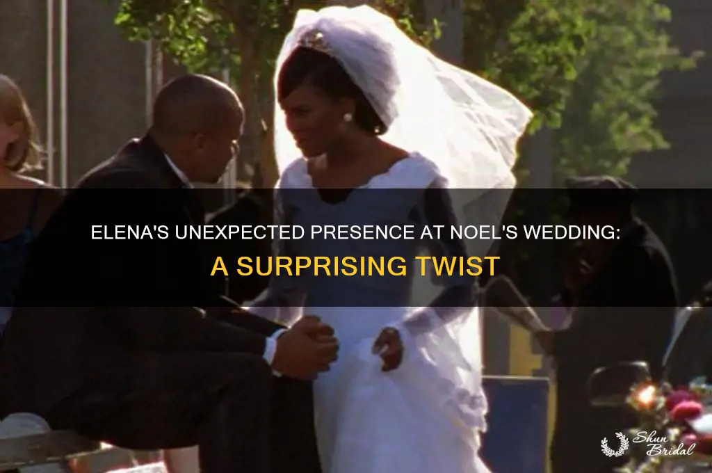 how is elena at noel