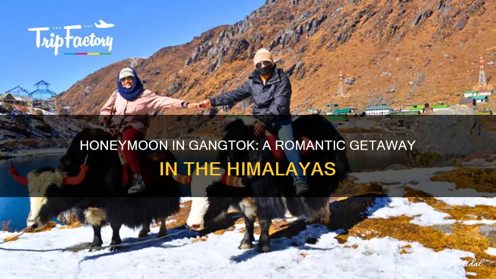 how is gangtok for honeymoon