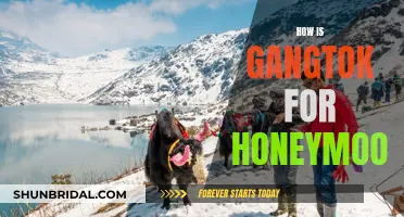 Honeymoon in Gangtok: A Romantic Escape Amidst Nature's Splendor