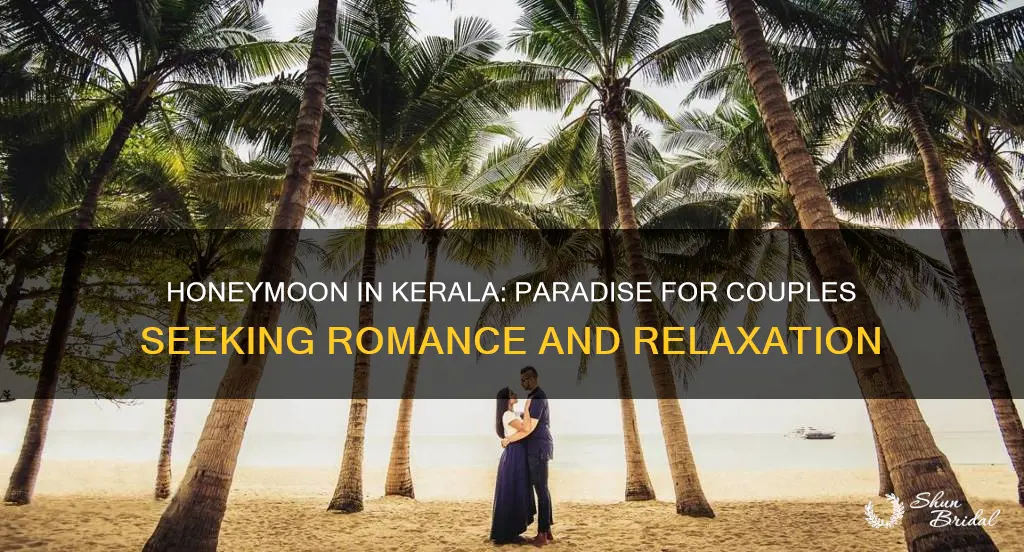 how is kerala for honeymoon