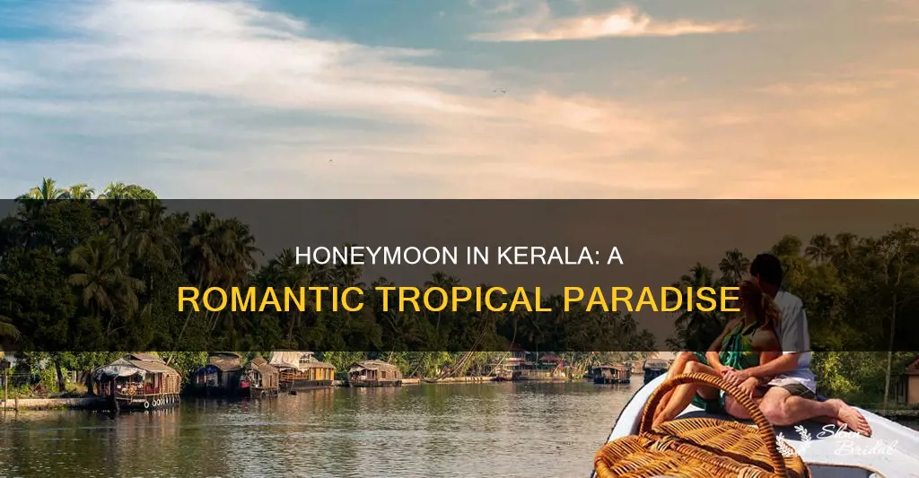 how is kerala for honeymoon