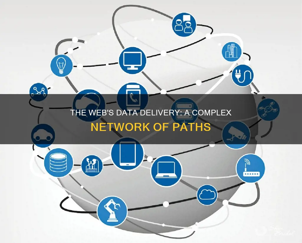 how is network data delivered on the world wide wed