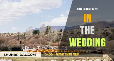 Unraveling the Mystery: How Noah Survived to Attend the Wedding