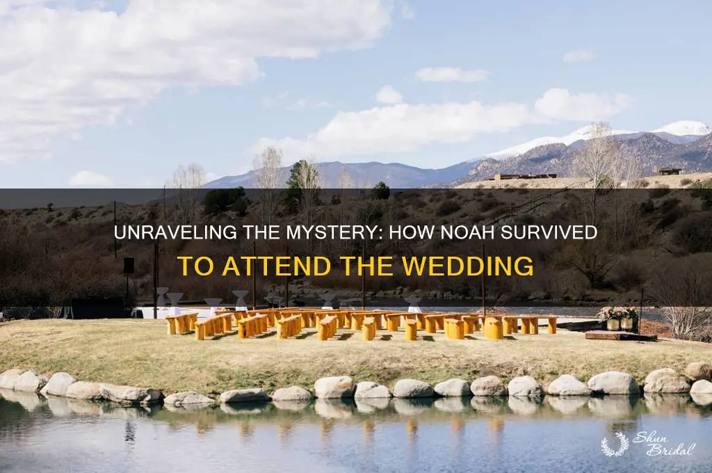 how is noah alive in the wedding
