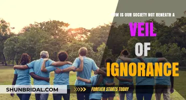 Beyond the Veil: Unmasking Society's Awareness and Collective Responsibility