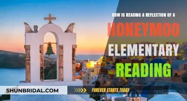 Reading as a Honeymoon: Reflecting on Elementary Literacy Journeys