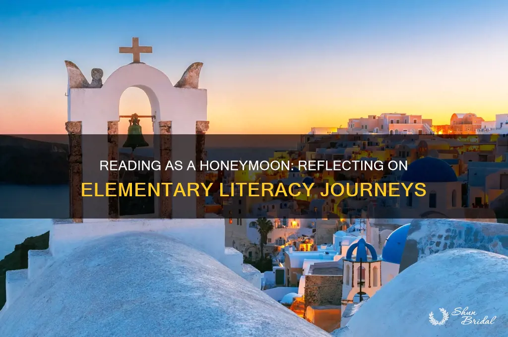 how is reading a reflection of a honeymoon elementary reading