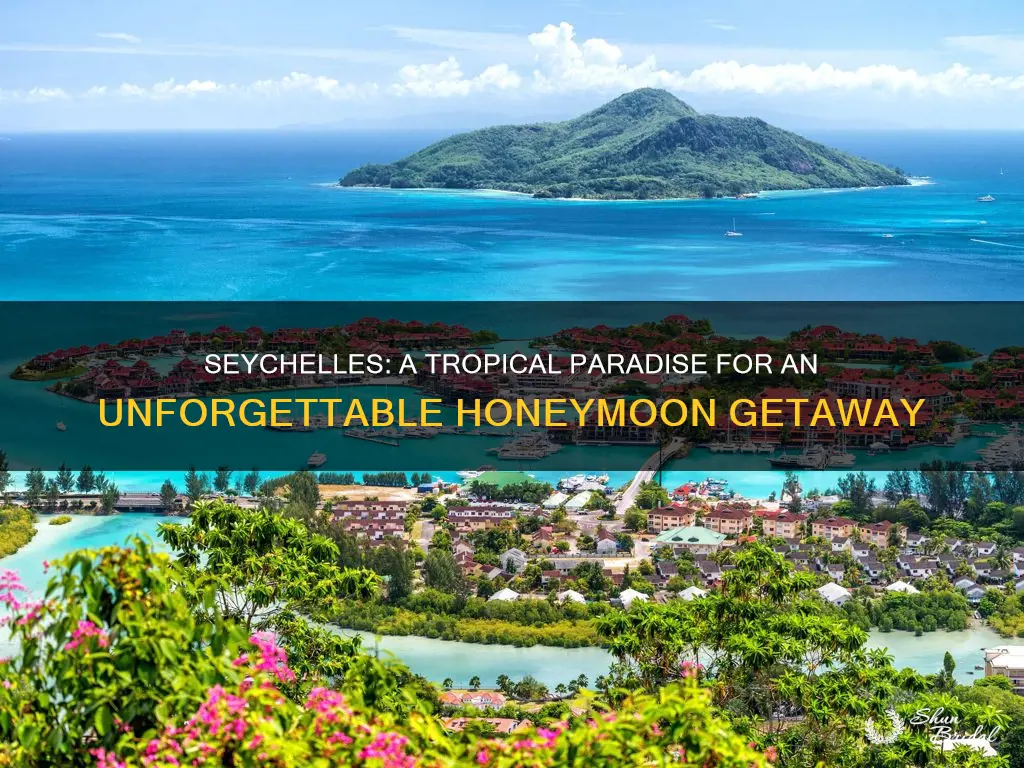 how is seychelles for honeymoon