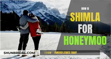 Honeymooning in Shimla: A Romantic Escape