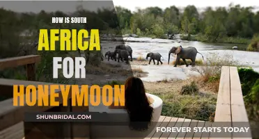 South Africa's Honeymoon Magic: An Adventure for Two