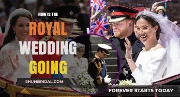 Royal Wedding Highlights: Celebrations, Traditions, and Global Reactions Unveiled