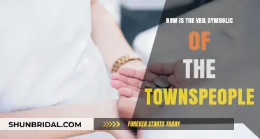 The Veil's Symbolic Reflection of Townspeople's Hidden Truths and Unity