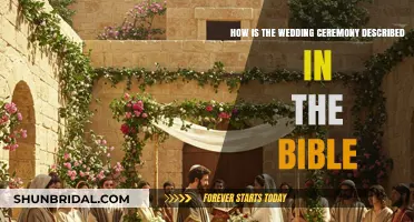 Biblical Wedding Traditions: Exploring Sacred Marriage Rituals in Scripture