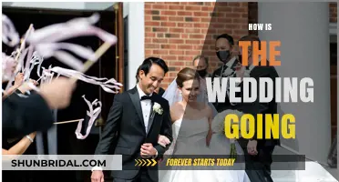How is the Wedding Going? A Mid-Celebration Check-In