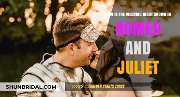 Romeo and Juliet's Wedding Night: A Tragic, Unconsummated Union Explored