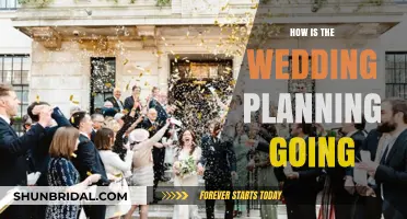 Wedding Planning Progress: Challenges, Triumphs, and Lessons Learned So Far