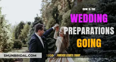 Wedding Countdown: Tracking Progress and Tips for Stress-Free Preparations