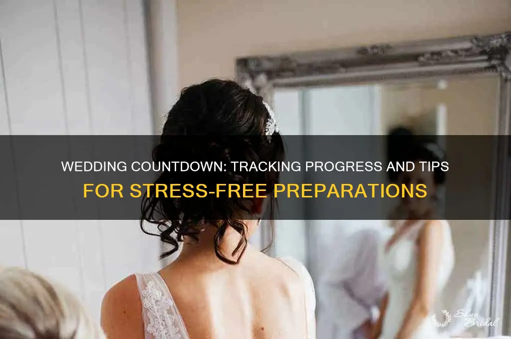 how is the wedding preparations going