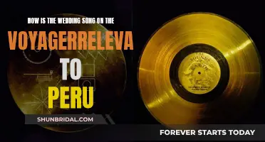 Peru's Voyager Wedding Song: Cultural Relevance Explored