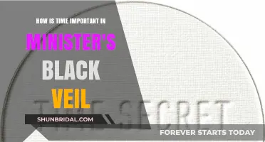 Time's Role in Unveiling Secrets: Minister's Black Veil Analysis