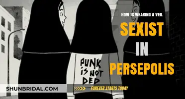 Unveiling Sexism: Analyzing the Veil's Role in Persepolis' Gender Dynamics