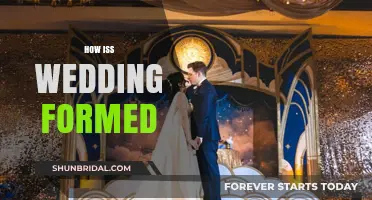 How ISS Weddings Are Formed: A Celestial Celebration of Love