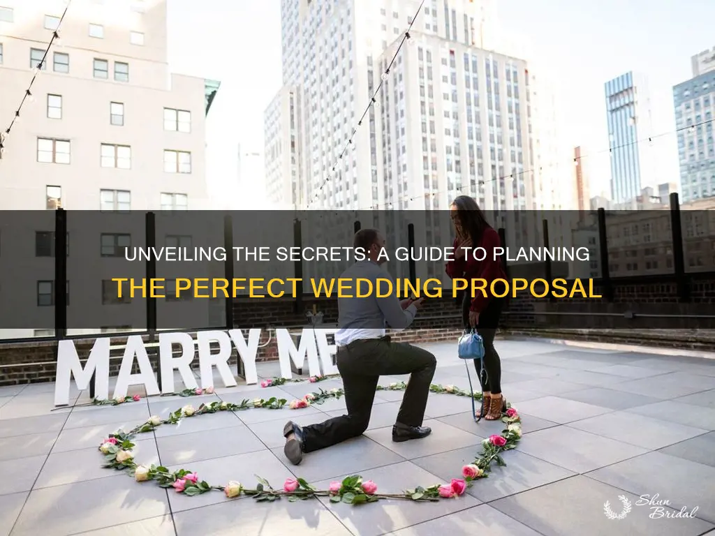 how it works wedding proposal planning