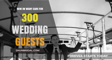 Transporting 300 Wedding Guests: How Many Cars Do You Need?