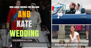 Royal Spectacle: Massive Crowds Gather for William and Kate's Wedding