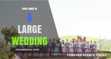 Defining a Large Wedding: Guest Counts, Venue Size, and Planning Tips