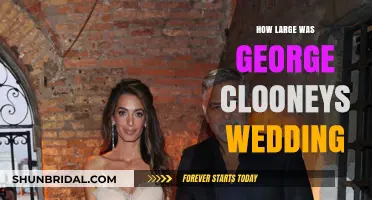 George Clooney's Lavish Wedding: A Grand Celebration of Love and Luxury