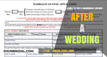 Filing Your Marriage License Post-Wedding: Essential Timeline and Steps