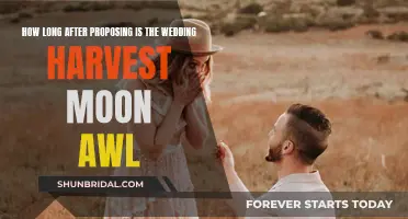 Proposing to Planning: The Harvest Moon Wedding Timeline