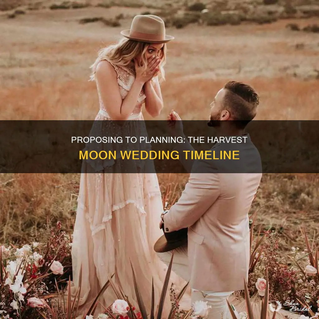 how long after proposing is the wedding harvest moon awl