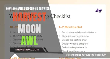 Planning a Wedding After a Proposal: Harvest Moon Style