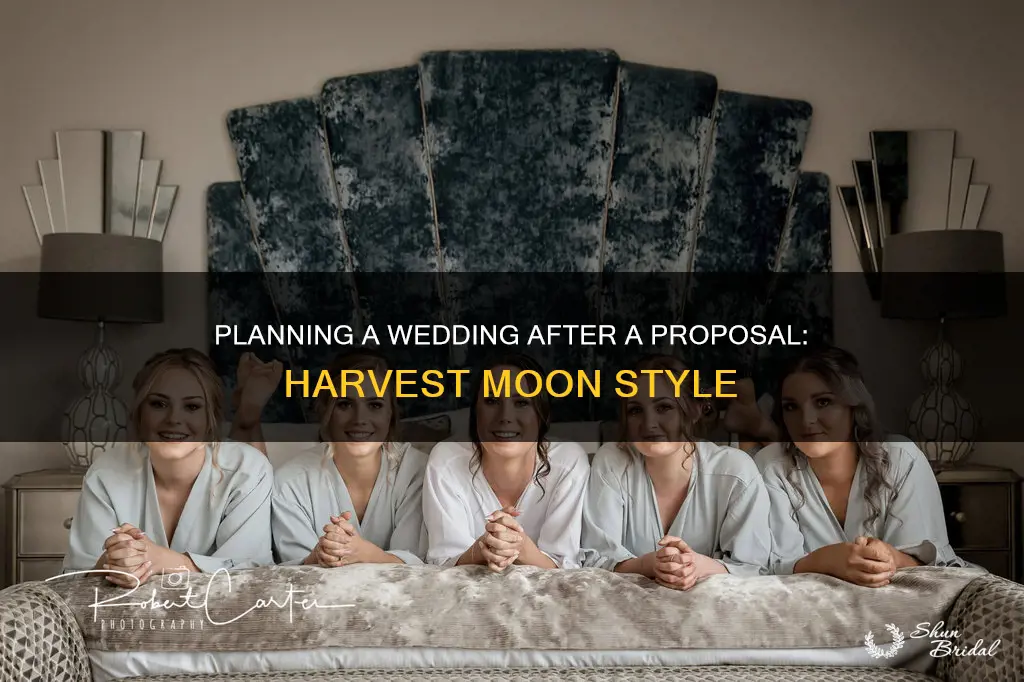 how long after proposing is the wedding harvest moon awl