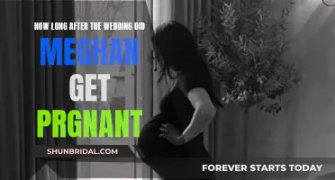 The Royal Baby: Meghan's Pregnancy Timeline After Wedding